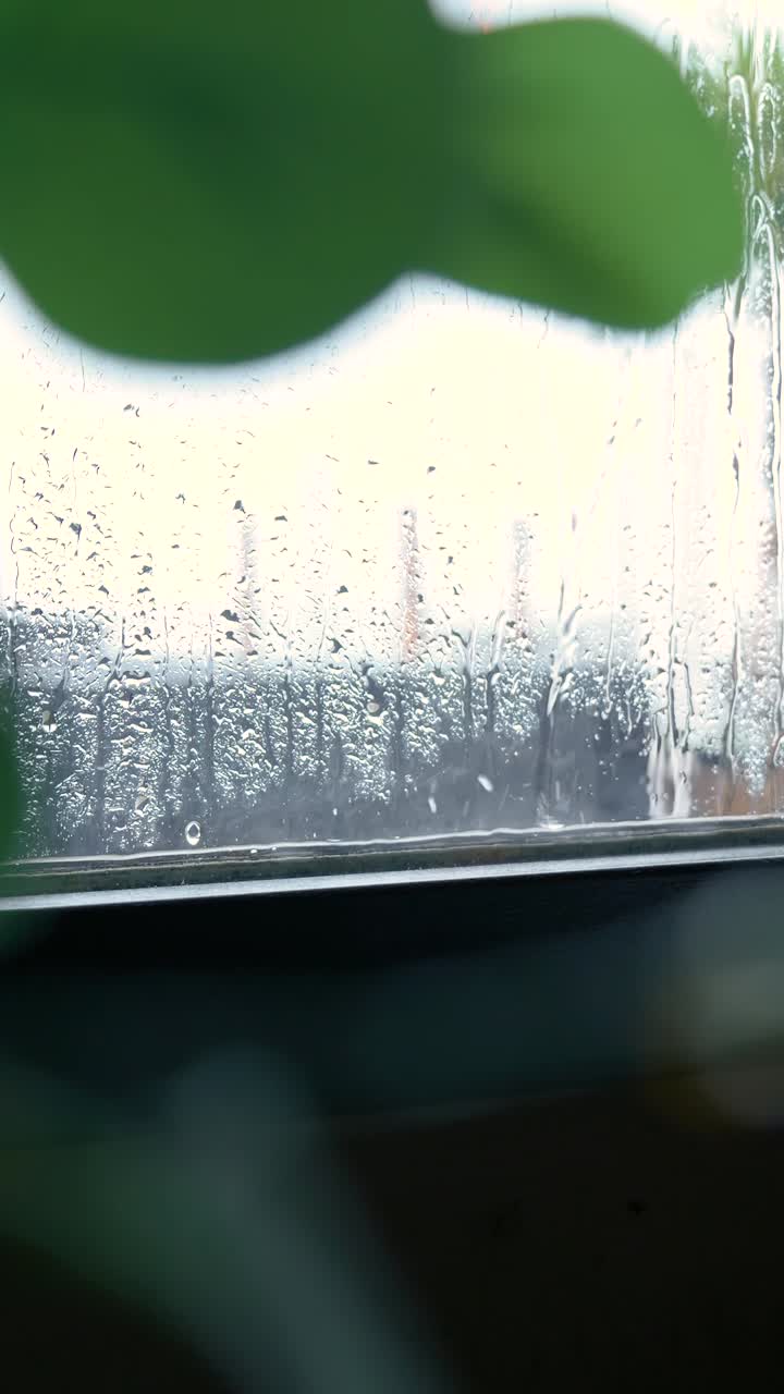 창문에서 비가 오는 날