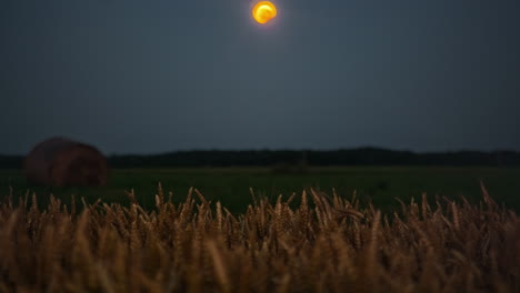 harvest moon rising over wheat field during autumn equinox