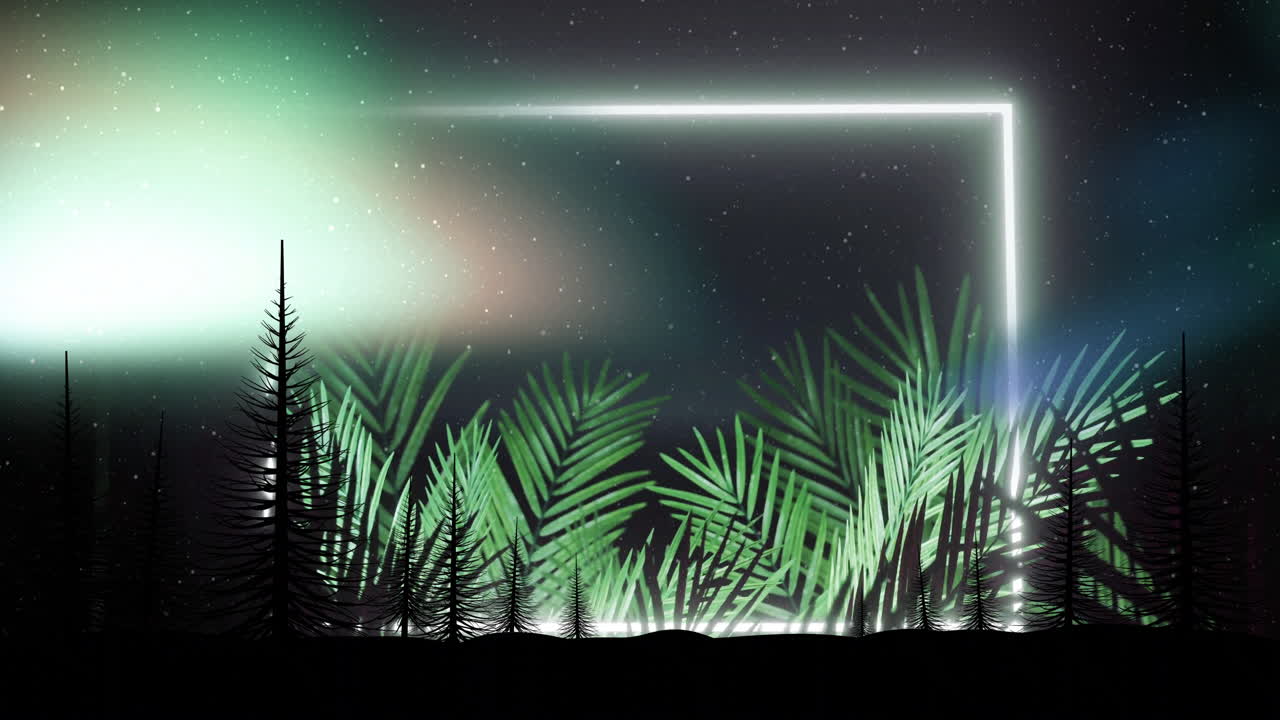Illuminating sky with northern lights, silhouetted trees and ferns under stars