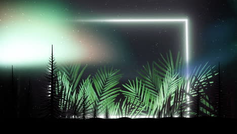 illuminating sky with northern lights, silhouetted trees and ferns under stars