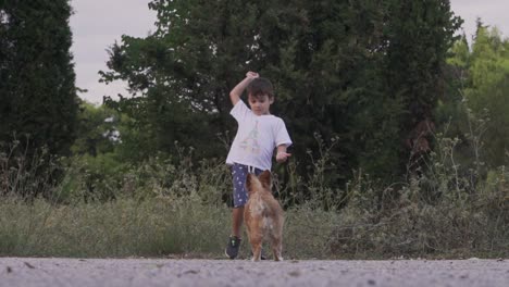 Niño-Pequeño-Caucásico-Lanza-Un-Palo-De-Juguete-De-Plástico,-Jugando-Con-Su-Perro-Mascota,-árboles-Altos-En-El-Fondo,-Cámara-Lenta