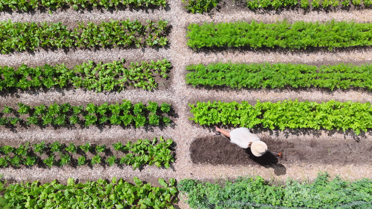 jardinera preparando el lecho del jardín para un nuevo cultivo, ascensor aéreo de arriba hacia abajo