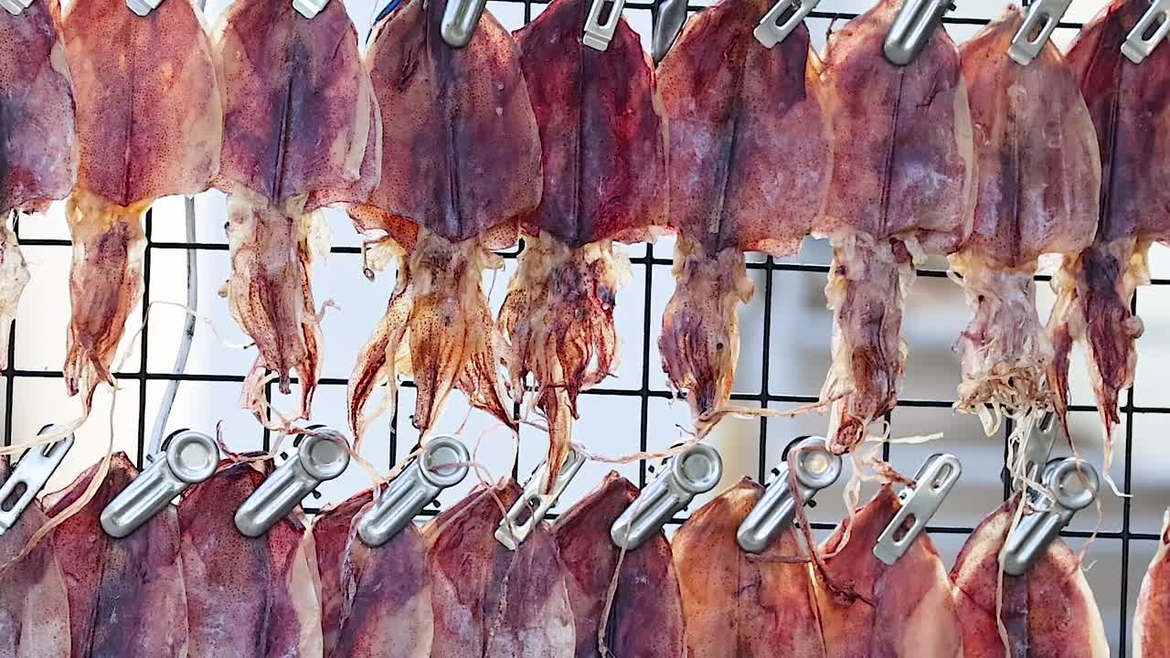 Close-up of dried squid hanging on metal clips against a grid background.