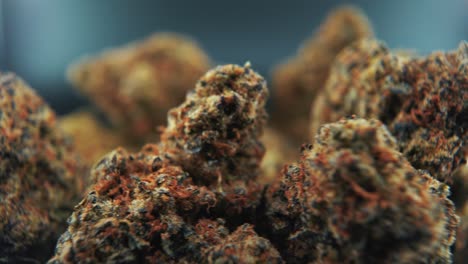 A-macro-cinematic-detailed-shot-of-a-cannabis-plant,-orange-hybrid-strains,-Indica-and-sativa-,-dark-purple-marijuana-flower,-on-a-rotating-stand,-slow-motion,-4K,-professional-studio-lighting