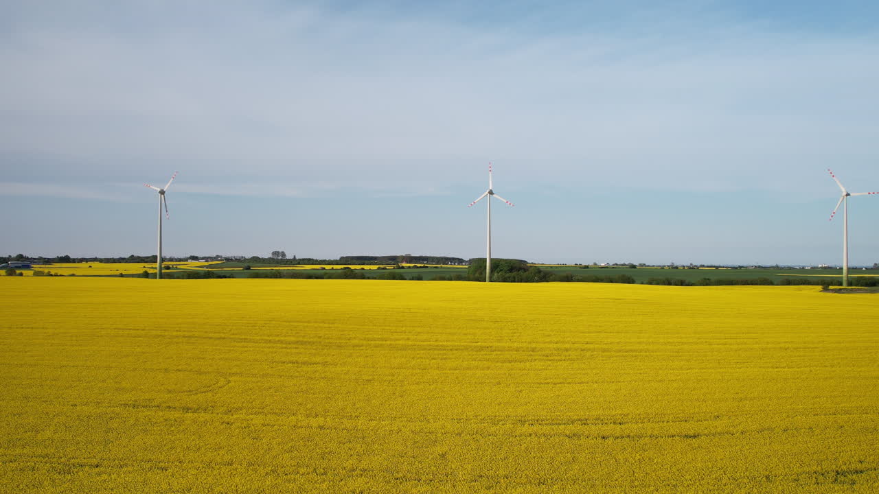 낮 동안 재생 가능한 풍력 에너지를 생산하는 카놀라  ⁇ 의 터빈, 항공 사진
