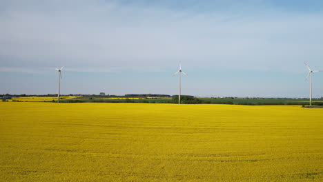 Turbinen-In-Rapsfeldern-Produzieren-Tagsüber-Erneuerbare-Windenergie,-Luftaufnahme