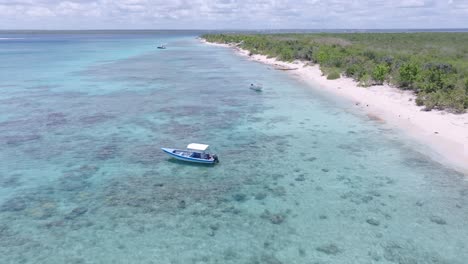 Luftüberflug-Klares-Wasser-Mit-Korallenriff-Und-Sandstrand-Auf-Der-Insel-Catalina-Im-Sommer