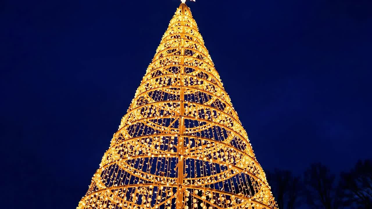Low-angle video of a glowing Christmas tree at night, capturing festive lights and dark sky