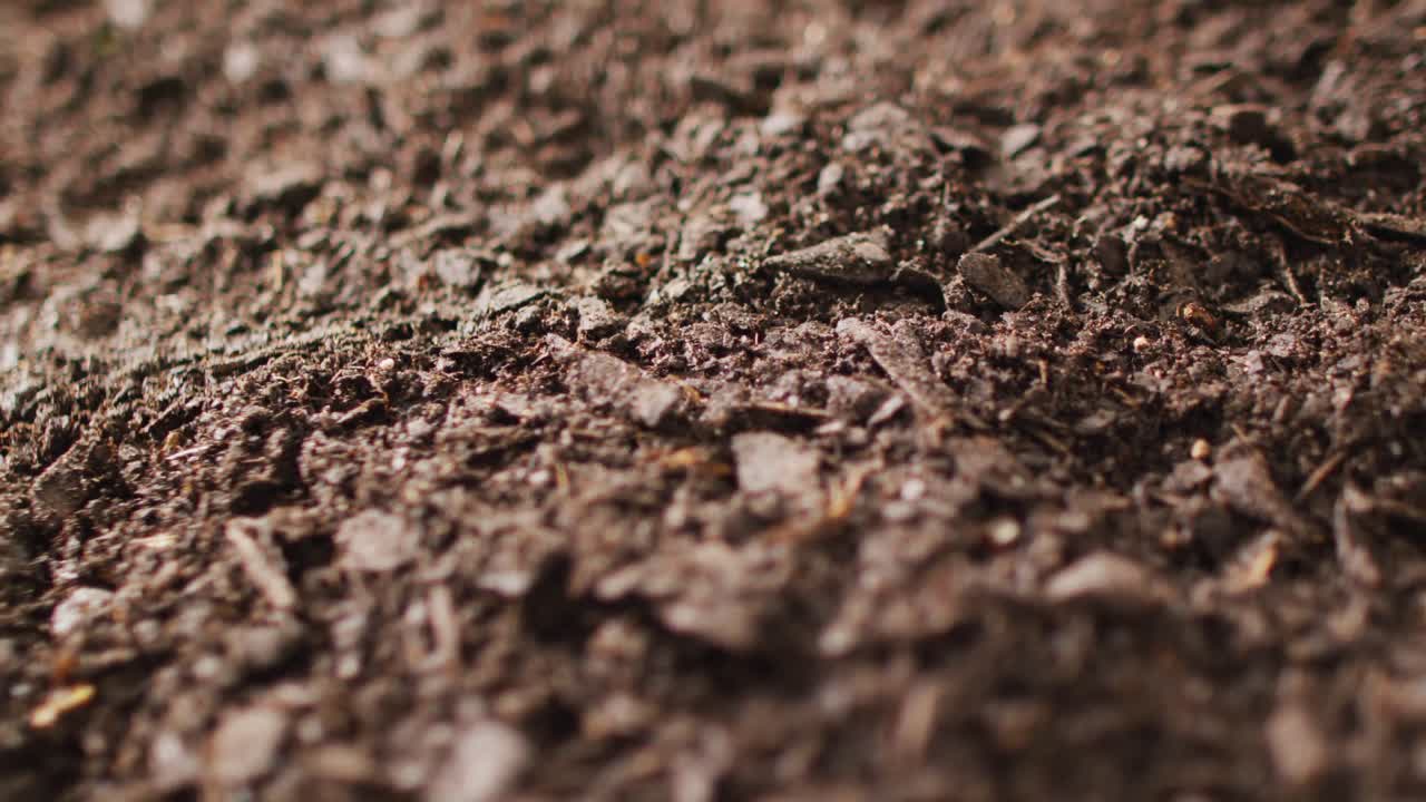 Close up panning video of organic dark peat soil and bark texture