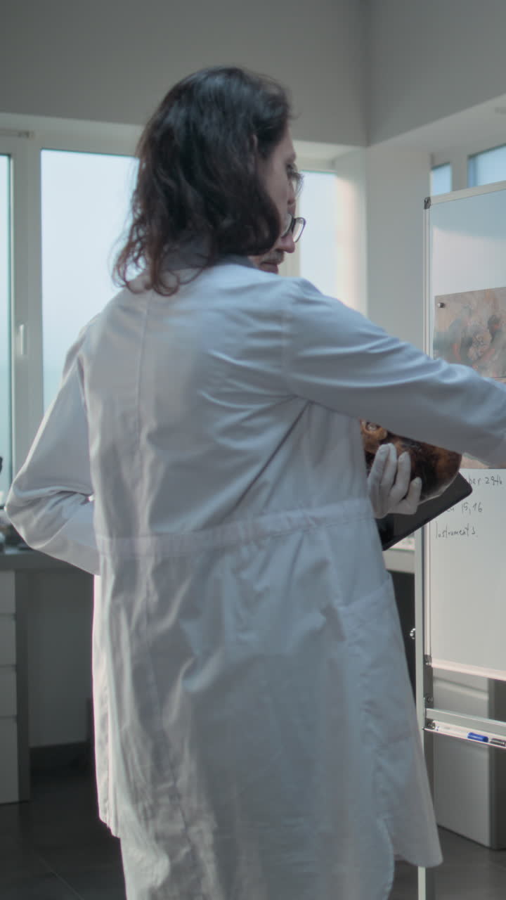 científicos analizando un cráneo e imágenes médicas en un laboratorio