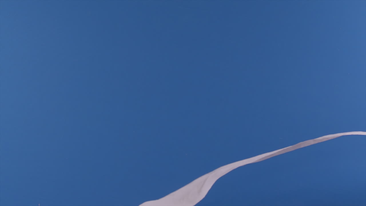 se ve un rollo de papel higiénico volando por el aire frente a un fondo azul