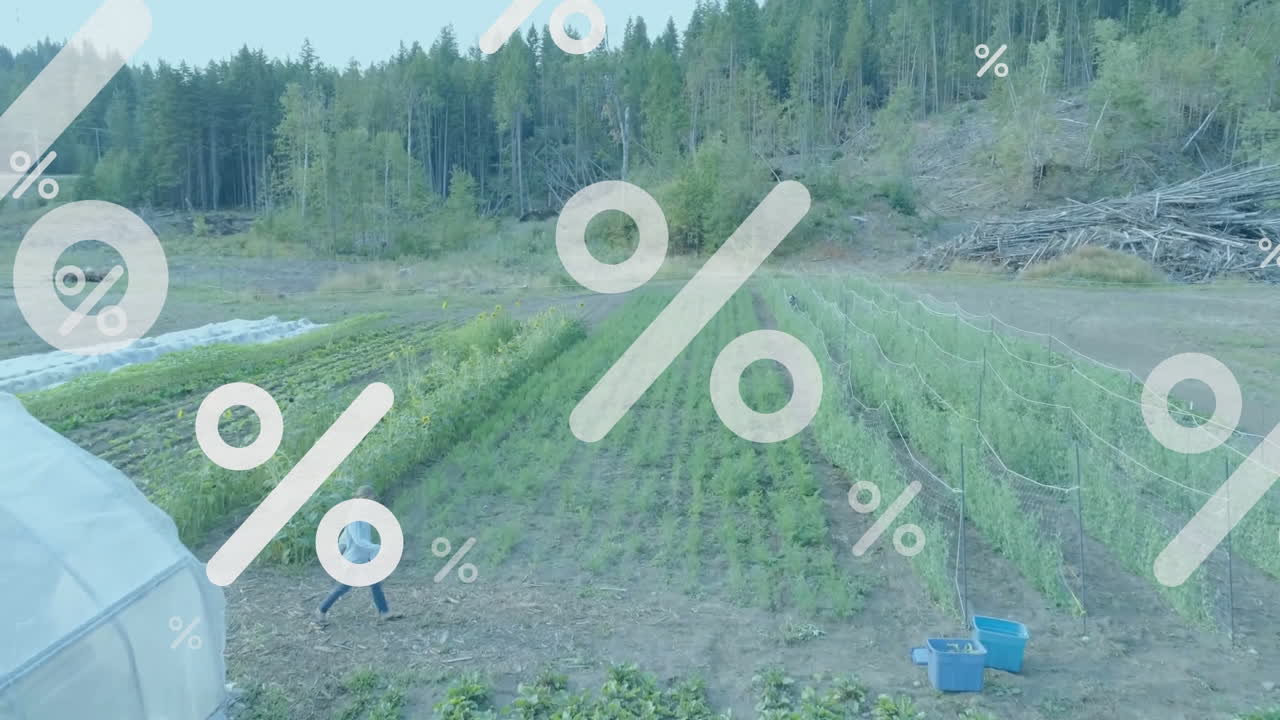 정원에서 채소를 수집하는 다양한 농부들에 대한 퍼센트 기호의 애니메이션