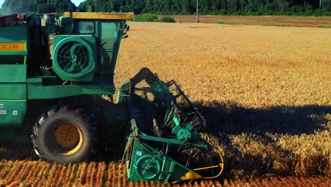 close up of combine harvester head harvesting crop in the field in lithuania