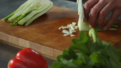 chef cortando hinojo rápido en una tabla de cortar de madera,verduras