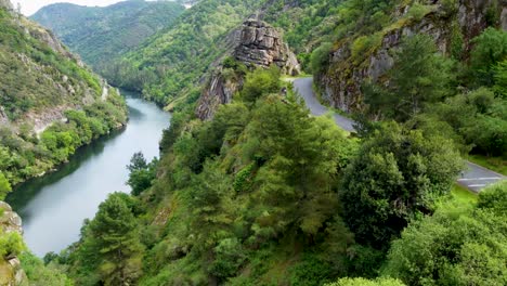 Aerial-Shot-Descending-into-the-Lush-Forest-of-Sil-Canyon-in-Ribeira-Sacra,-Spain