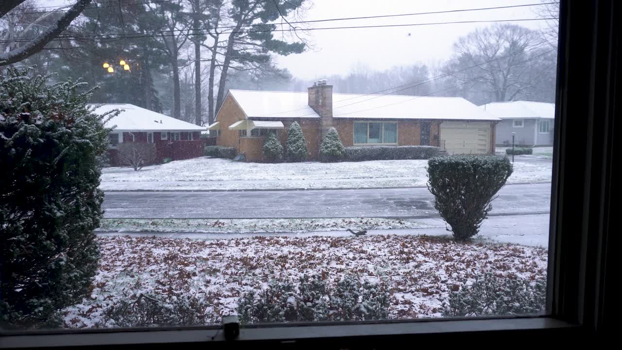 신선한 눈 주위를 뛰는 다람쥐