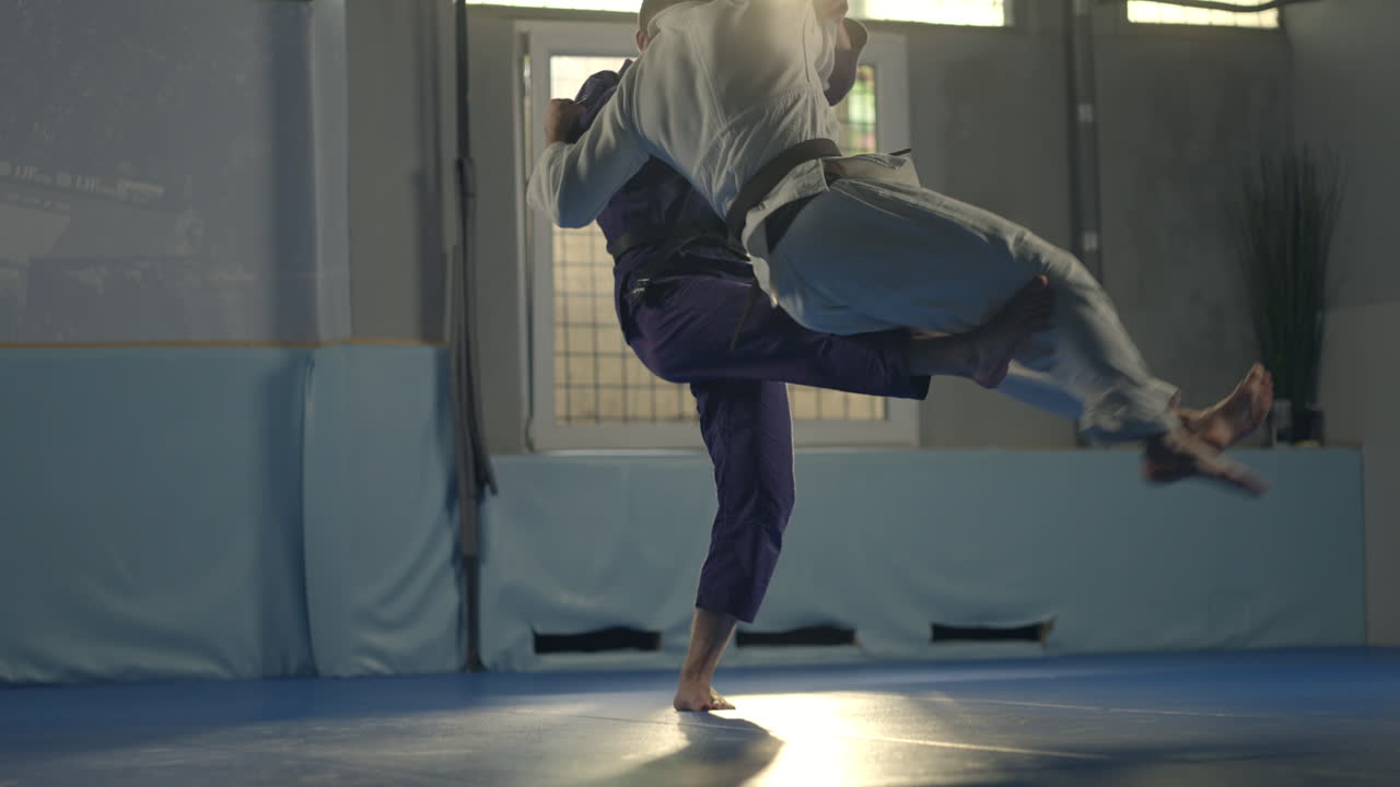 Martial Arts Judo Combat Sports Training