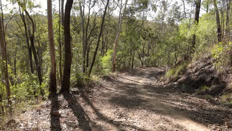 imágenes de mano de los senderos de protección contra incendios en el parque nacional de nerang, gold coast, queensland, australia