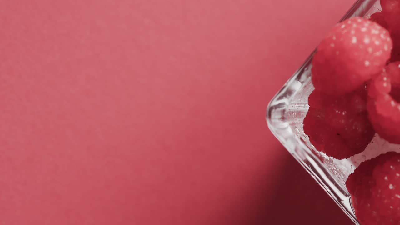 빨간 배경에 복사 공간과 함께 라즈베리 그 ⁇ 의 클로즈업의 마이크로 비디오