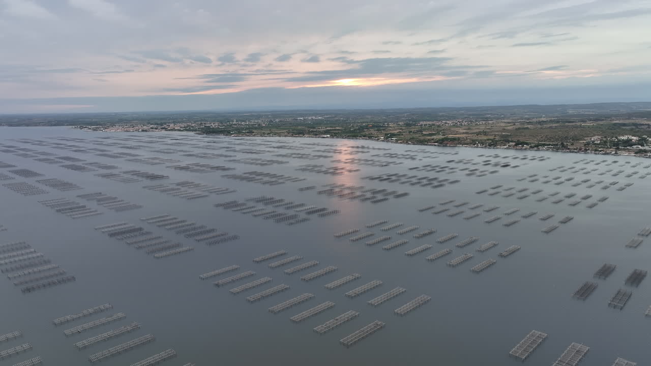 al atardecer, los lechos de ostras de etang de thau crean un mosaico tranquilo cuando se ven desde