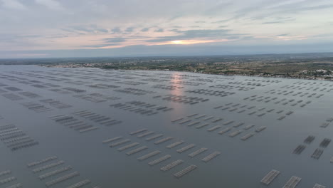 At-sunset,-Etang-de-Thau's-oyster-beds-create-a-tranquil-mosaic-when-viewed-from