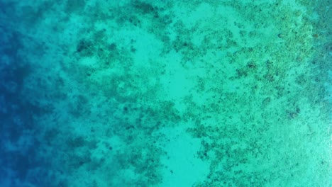 crystal clear blue ocean water, light cloud shadow moves across sandy reef bottom, drone static