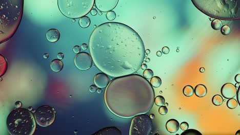 abstract colorful food oil drops bubbles and spheres flowing