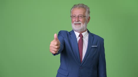 handsome senior bearded businessman against green background