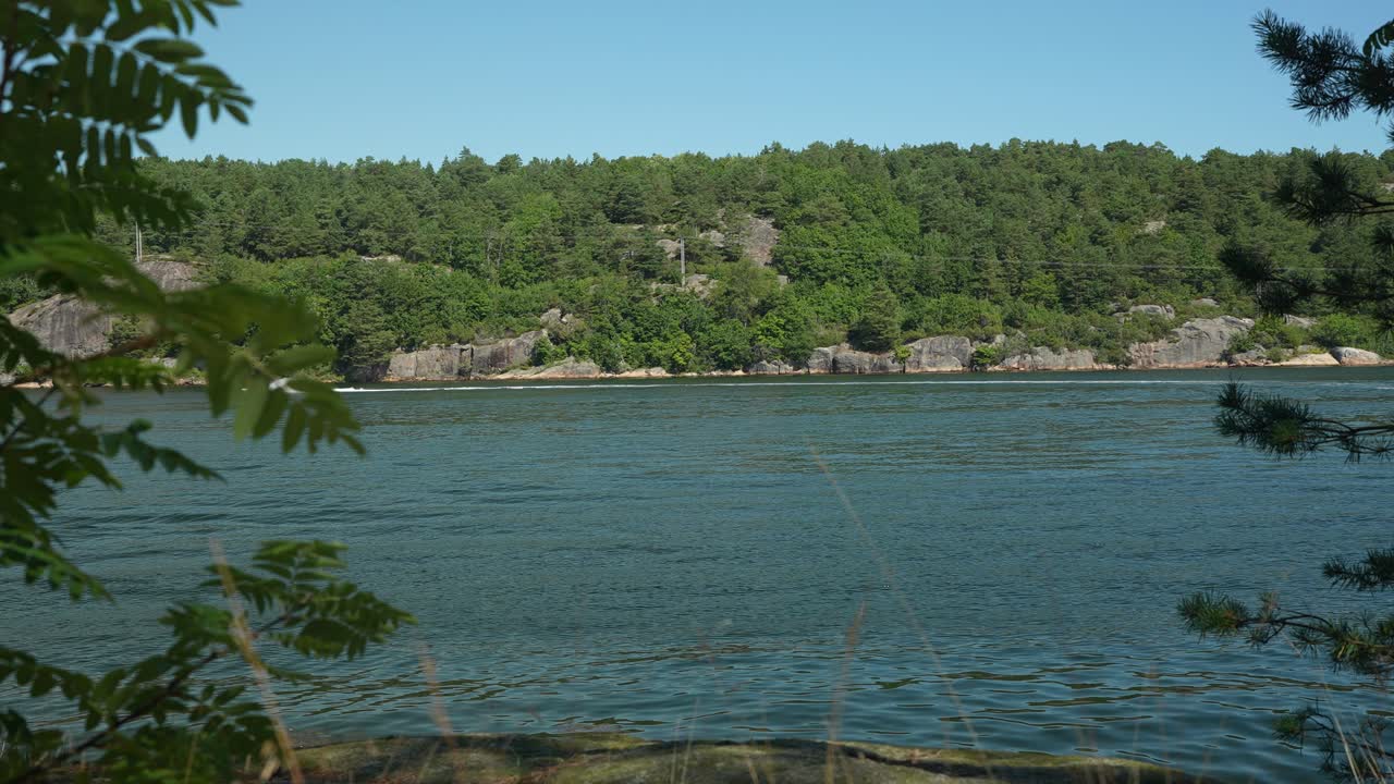 A tranquil riverside landscape showcases vibrant green trees lining the water's edge on a clear sunny day. The calm surface reflects the blue sky, inviting exploration and relaxation