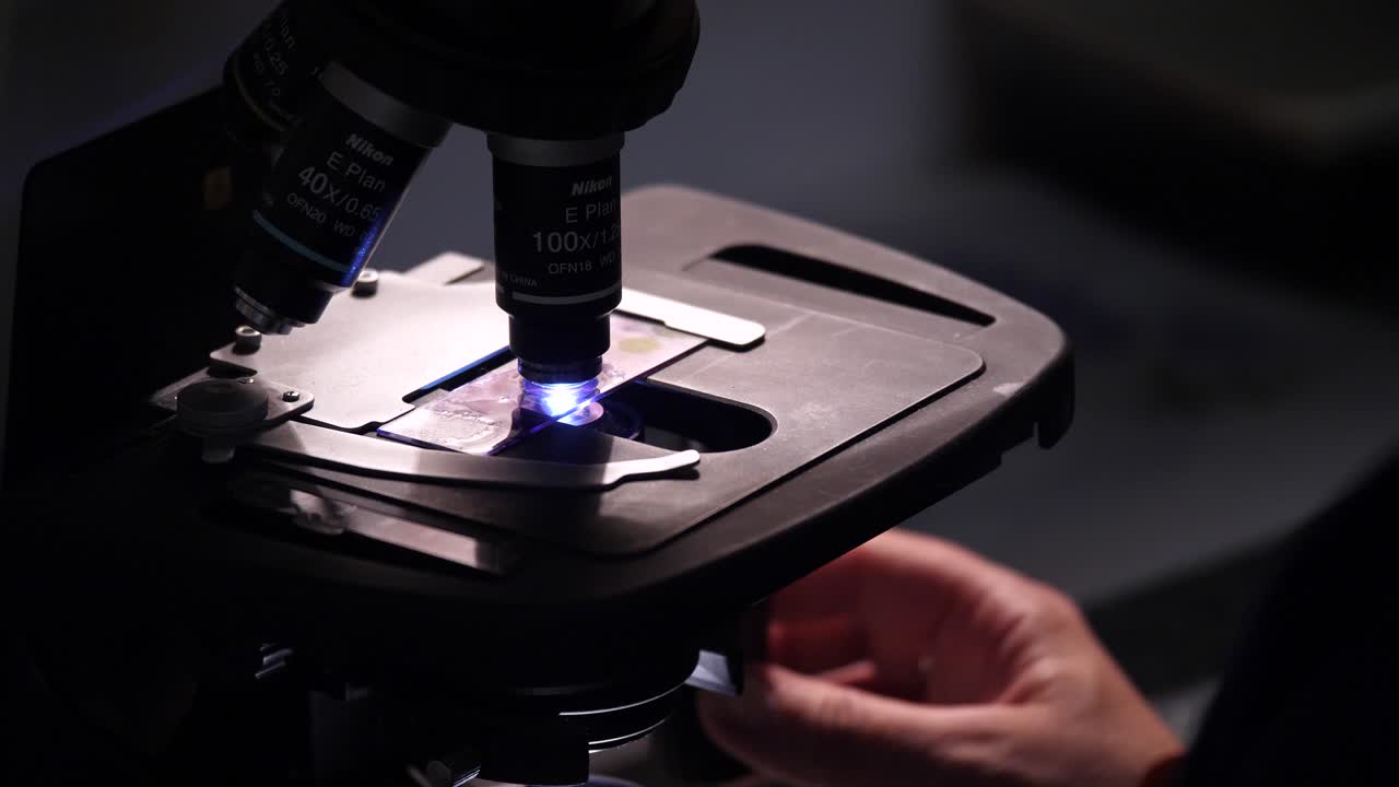 Blood examinating under a microscope at vet clinic.