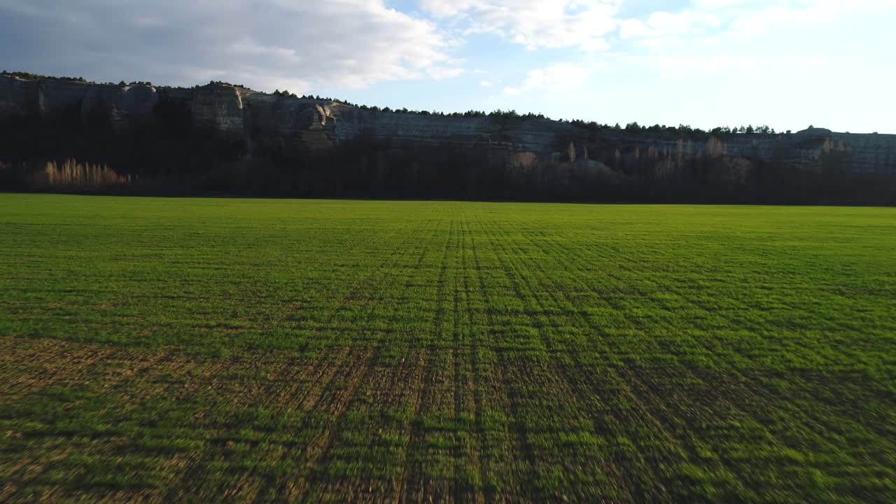 Grünes Feld mit Klippen