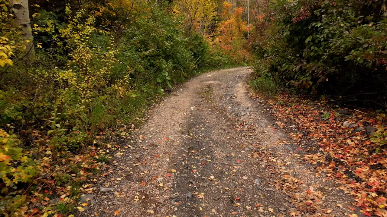 un dron volando bajo bajando por un camino de tierra puedes ver su otoño otoño octubre noviembre la vista se mueve hacia un hermoso campamento abierto rodeado de árboles que cambian de color a naranja rojo y amarillo