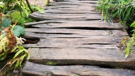 hurrying on a narrow pathway in the middle of nowhere