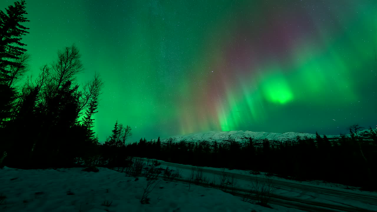 Il fiordo Hakoybotn riflette brillanti fasce aurorali che si estendono nel cielo notturno sopra un terreno innevato, uno sfondo scintillante rosso e verde.