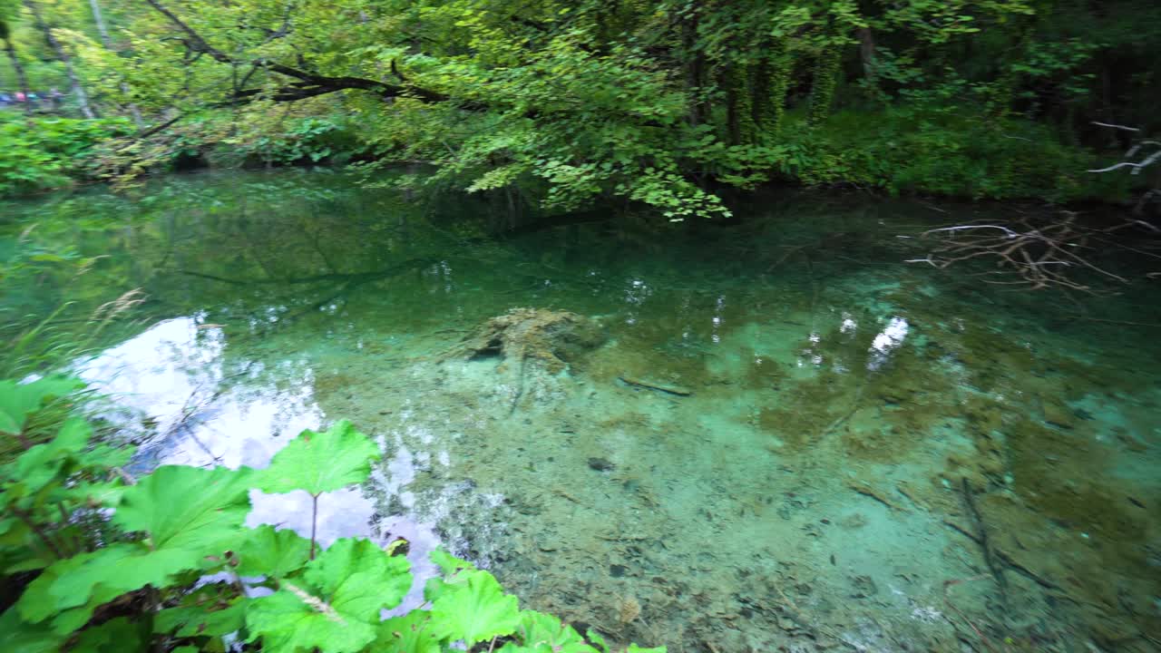 플리트비체 국립 공원 중앙 크로아티아의 작은 호수