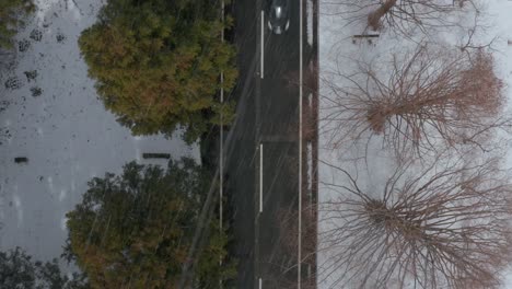 aerial view of snowy road during blizzard, metasequoia namiki, japan