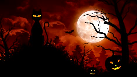 halloween scary cat and moon