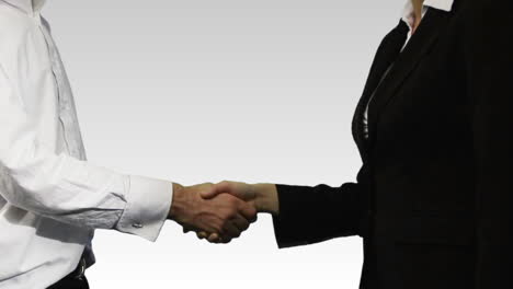 business handshake