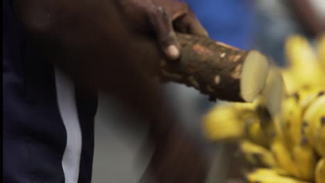 close up of a man chopping a manioc having bananas at the background