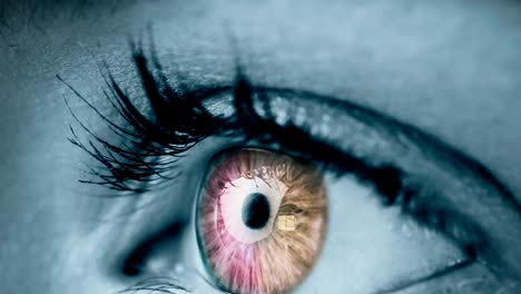 primer plano de un ojo gris femenino contra un fondo gris