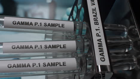 gama p