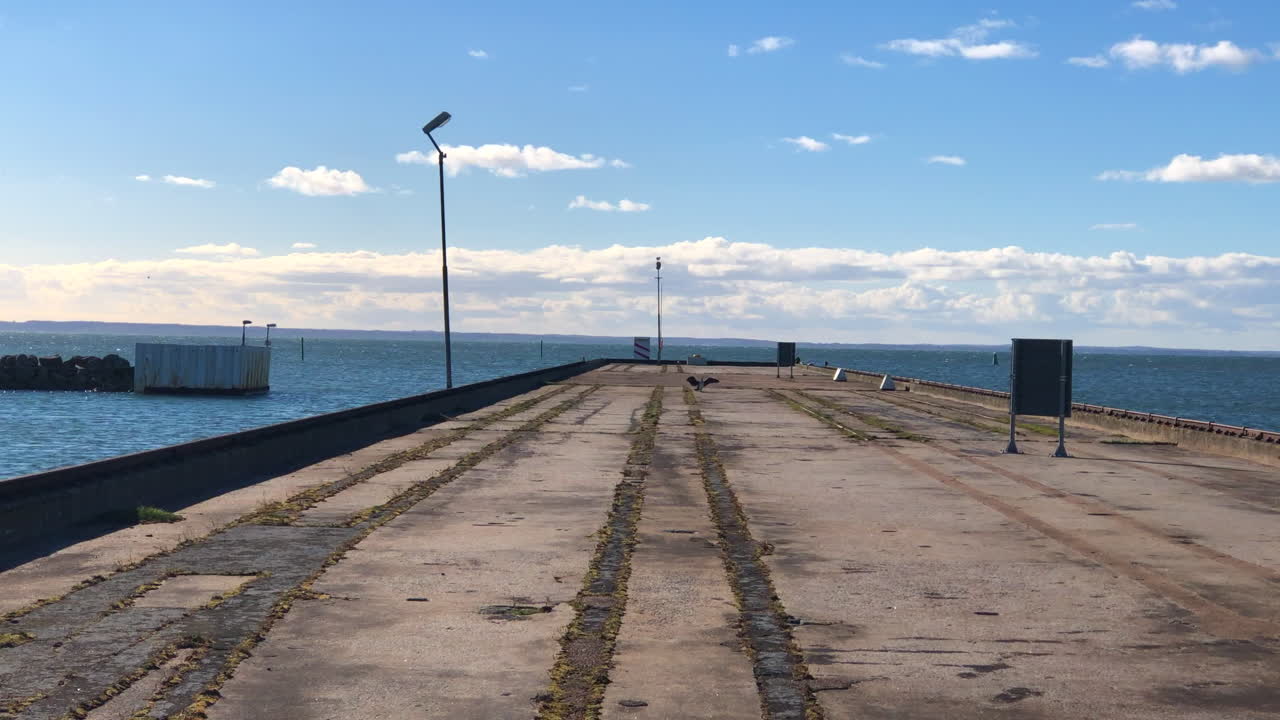 선착장에 둥지를 틀고 있는 갈매기