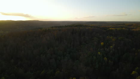 Volando-De-Regreso-Sobre-Las-Copas-De-Los-árboles-Del-Bosque-En-Otoño-Al-Atardecer,-Polonia,-Antena-Vespertina