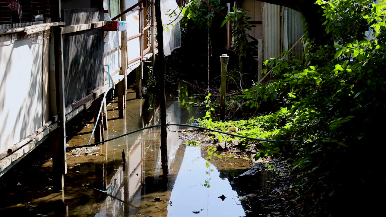 울창 한 초록색 과 함께 시장  에 있는 수로