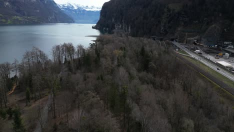 Aerial-forest-near-lake-Walensee-in-Switzerland,-Swiss-Alps-peak-with-snow