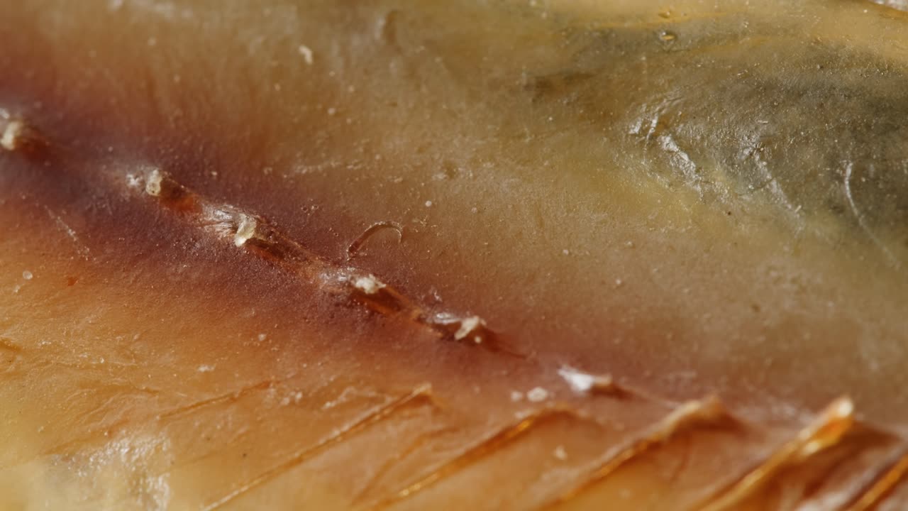 Close-up view of a dried fish fillet