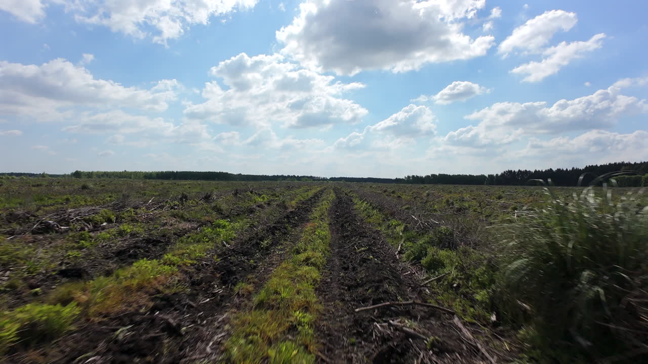 Low FPV aerial over farm field rows on sunny spring day, agricultural industry