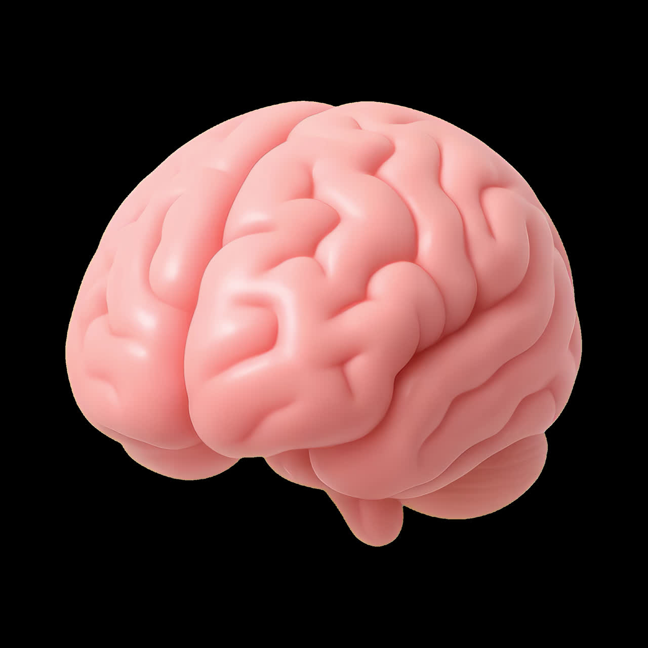 Realistic brain model animation isolated asset, transparent 4K video, alpha channel, ProRes 4444