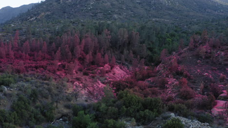 wildfire aftermath, forest covered in fire retardant chemicals, aerial reveal