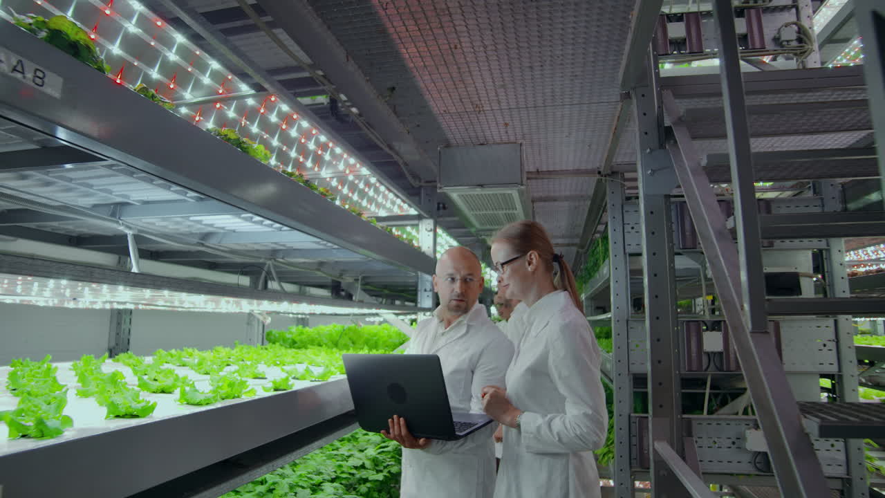 los científicos modernos están involucrados en la ingeniería genética en la producción moderna de productos vegetarianos. granja moderna para la producción automatizada de verduras